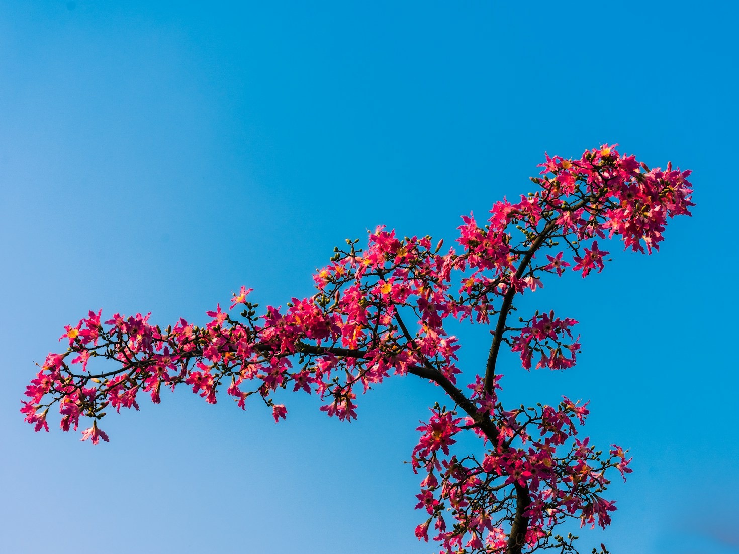 The Role of Nature in Shaping Our Literary Themes